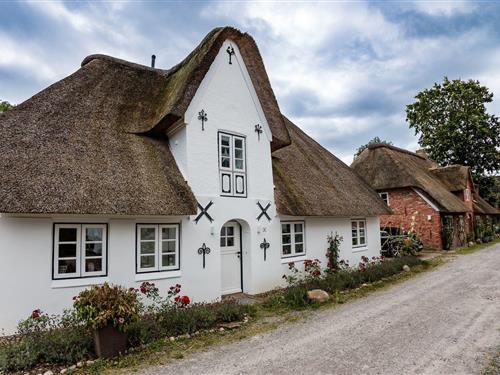 Feriehus - 6 personer -  - Grönland - 25938 - Wyk Auf Föhr