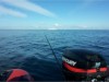 Billede 17