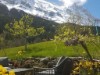 Image 22 - Outside