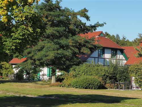 Ferienhaus - 4 Personen -  - 18556 - Dranske