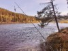 Bild 17