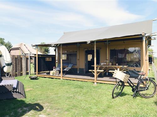 Tent lodge - 6 persons -  - 1759JG - Callantsoog