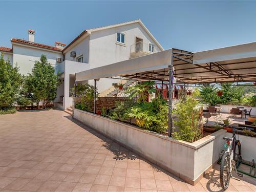 Semesterhus/Semesterlägenhet - 2 personer -  - Mali Lošinj - 51550 - Mali Lošinj