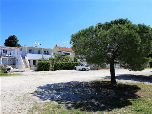 Ferieleilighet - 4 personer -  - Mali Milini - 23000 - Zadar