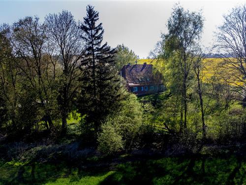 Holiday apartment - 4 persons -  - Grüner Winkel - 18236 - Carinerland