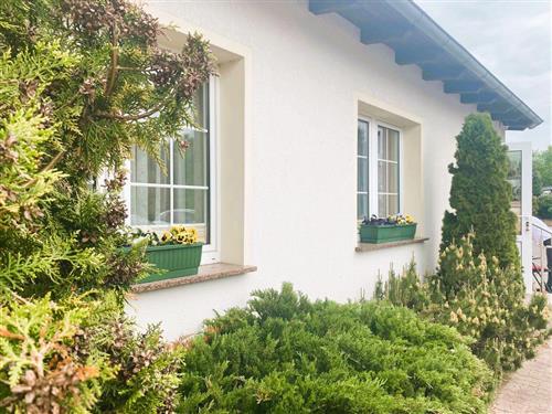 Ferieleilighet - 3 personer -  - Seestraße - 17459 - Loddin / Kölpinsee