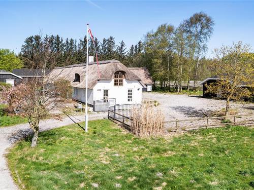 Sommerhus - 8 personer -  - Østkystvejen - Aså Strand - 9340 - Asaa