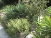 Image 30 - Outside