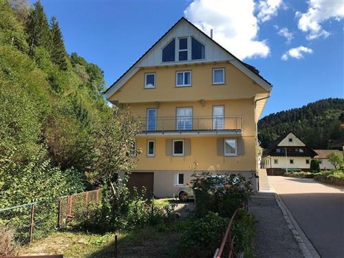 Holiday Home/Apartment - 20 persons -  - Freiersbach - 77740 - Bad Peterstal-Griesbach