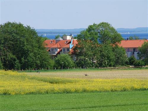 Ferienhaus - 4 Personen -  - Steiluferring - 23946 - Boltenhagen