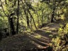 Bild 33 - Aussen