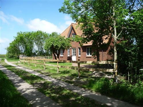 Holiday Home/Apartment - 5 persons -  - Lerchenweg - 25826 - St. Peter-Ording