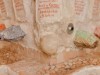 Image 13 - Inside