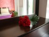 Bild 30 - Inde