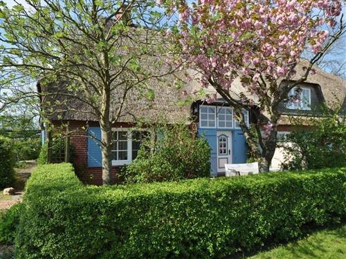 Sommerhus - 6 personer -  - Kornkoogweg - 25836 - Garding