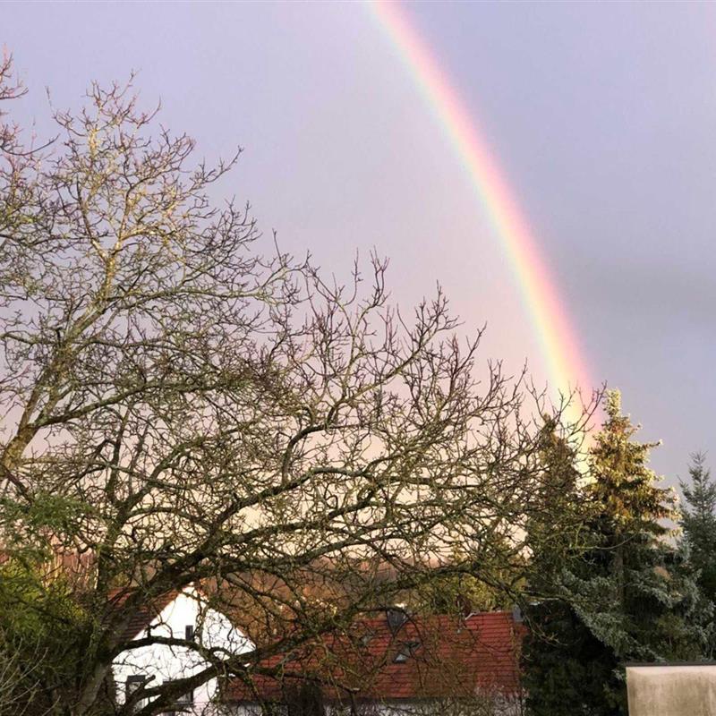 Ferielejlighed - 2 personer -  - Am Homburg - 66123 - Saarbrücken