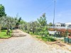 Image 20 - Outside