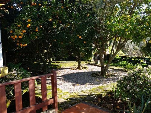 Sommerhus - 6 personer -  - Sever Do Vouga - 3740-410