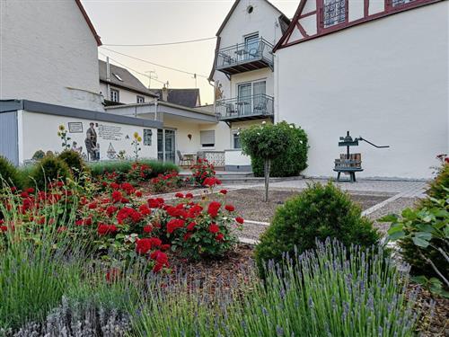 Ferielejlighed - 2 personer -  - Moselstr. - 56820 - Briedern