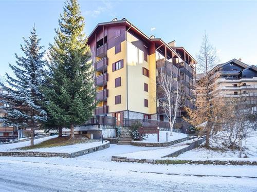 Ferieleilighet - 5 personer -  - Via Baradello - 25040 - Aprica