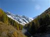 Bilde 5