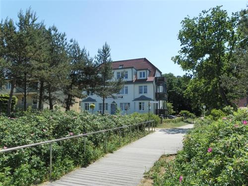 Ferielejlighed - 3 personer -  - Strandpromenade - 23946 - Boltenhagen