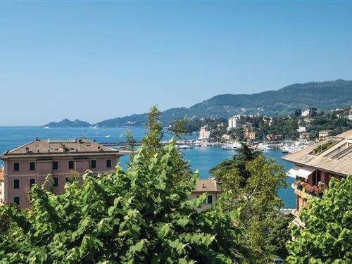 Ferielejlighed - 4 personer -  - Via Don Minzoni - Rapallo - 16035 - Rapallo Ge