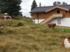 Billede 5