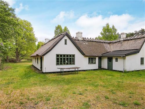 Sommerhus - 9 personer -  - Vej 13 Nr - Vig Lyng - 4560 - Vig