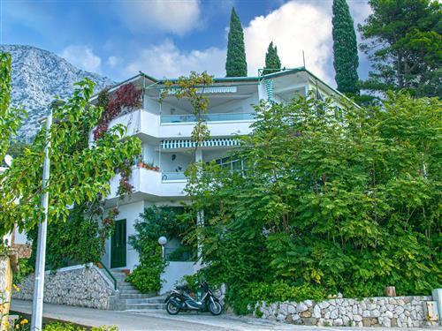 Holiday apartment - 7 persons -  - Živogošce Porat - 21327 - Podgora