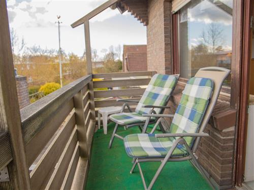 Ferieleilighet - 4 personer -  - Austernstraße - 26434 - Schillig