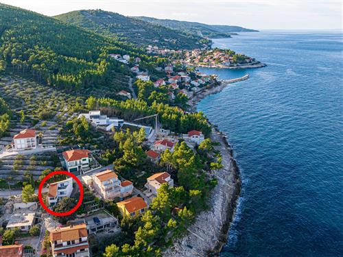 Holiday home - 6 persons -  - Prigradica - 20271 - Blato