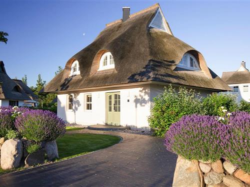 Sommerhus - 6 personer -  - 18356 - Fuhlendorf