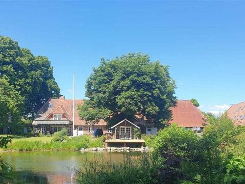 Feriehus - 1 person -  - 24975 - Tastrup