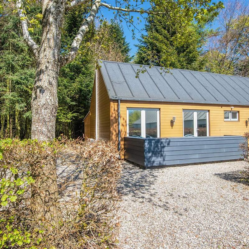 Ferienhaus - 8 Personen -  - Bakkevej - Favrlund - 6760 - Ribe
