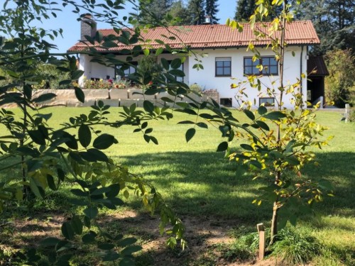 Ferielejlighed - 4 personer -  - Höhenweg - 90518 - Altdorf