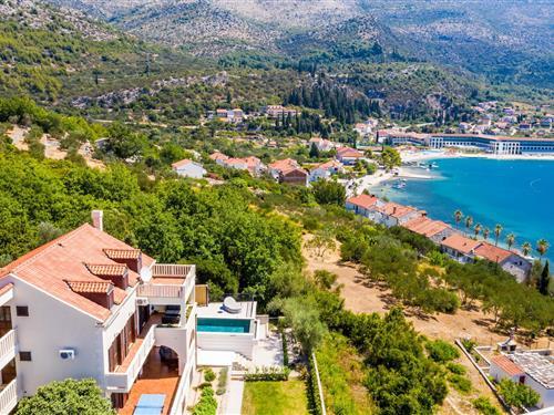 Holiday home - 10 persons -  - Put od Koceljevica - Dubrovnik-Slano - 20232 - Slano