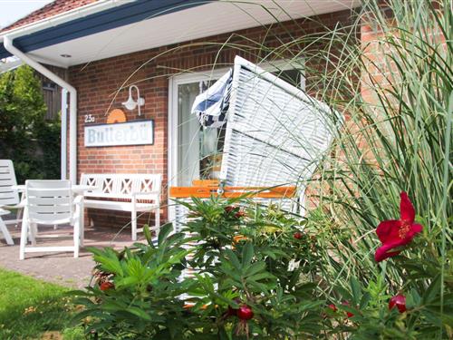 Feriehus - 6 personer -  - Buchenstraße - 18375 - Prerow