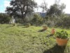 Billede 6