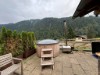 Bild 19
