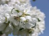 Image 27