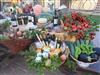 Bild 54 - Aussen