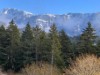 Billede 17
