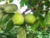 Bild 20
