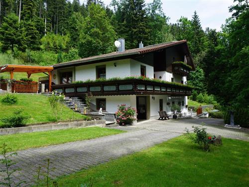 Ferieleilighet - 2 personer -  - Blaibacher Straße - 93444 - Bad Kötzting