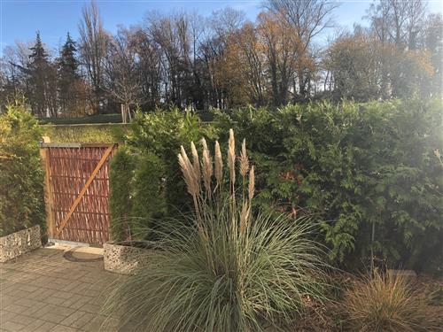 Holiday apartment - 4 persons -  - Leuchtturmweg - 23746 - Kellenhusen