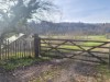 Bilde 28