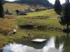 Billede 24