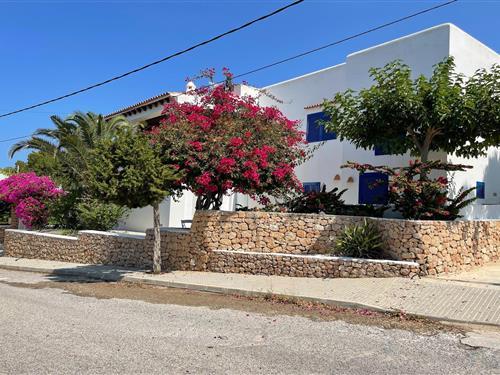 Sommerhus - 9 personer -  - 07830 - Cala Vedella, Sant Josep