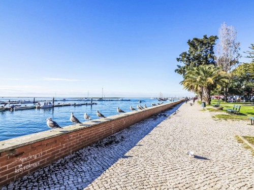 Holiday apartment - 4 persons -  - 8700 - Olhão